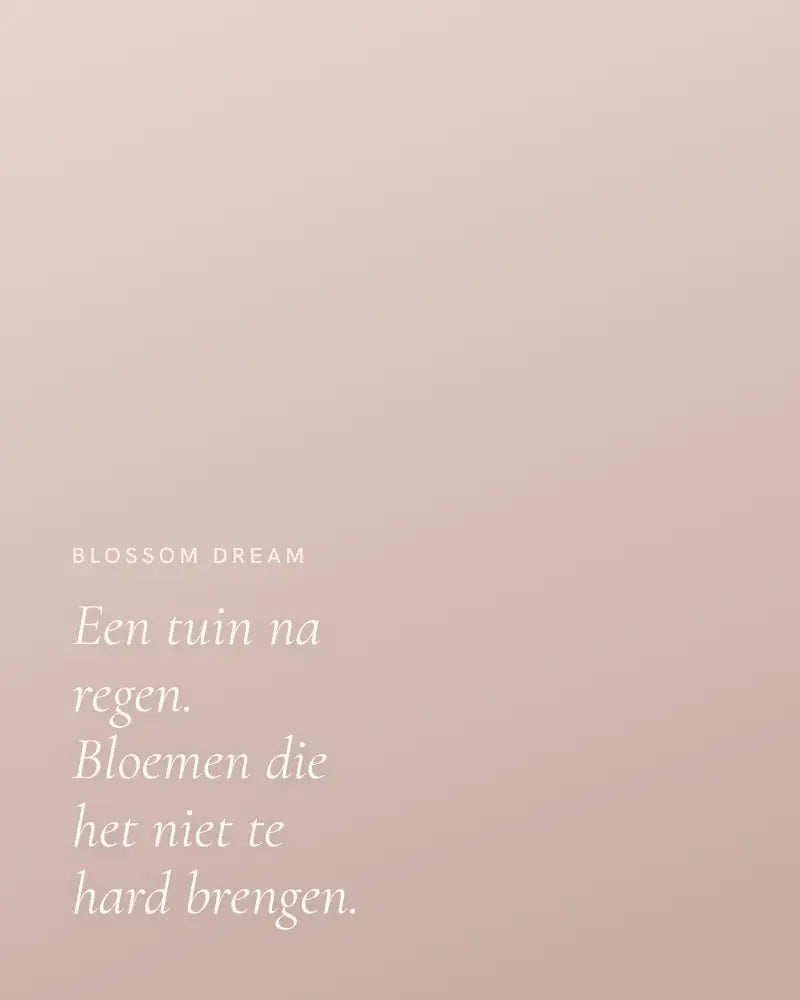 Blossom Dream, sfeerbeeld
